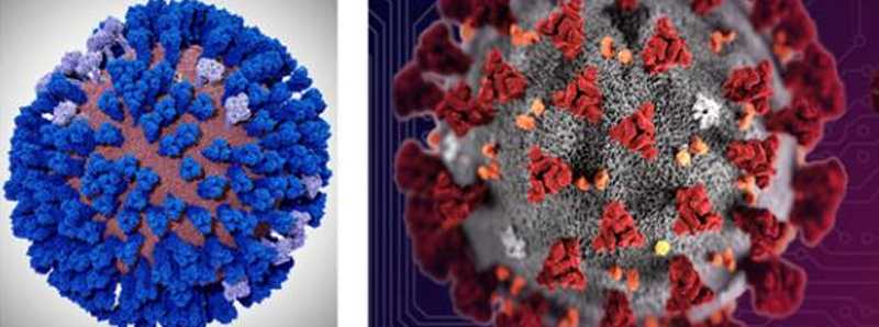 Coronavirus simulato dal supercomputer Frontera