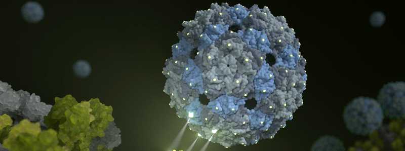 Un nuovo inibitore previene l'influenza stagionale