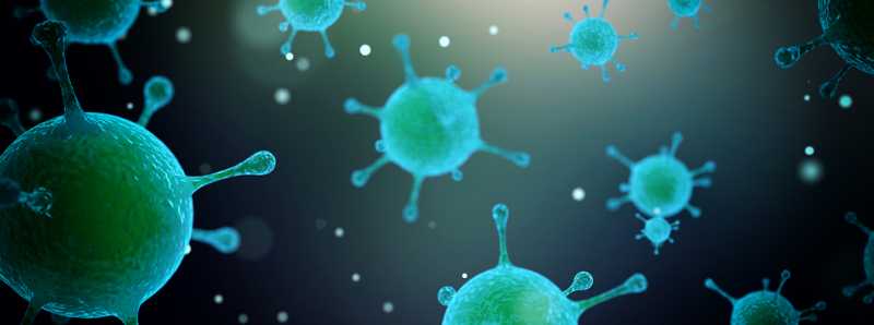Nuovi indizi sui comportamenti dei virus